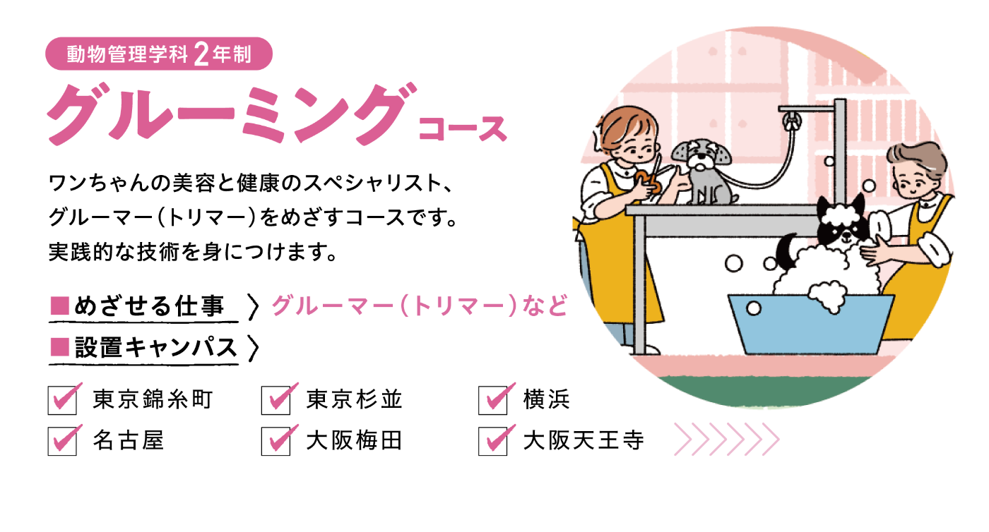 グルーミングコース