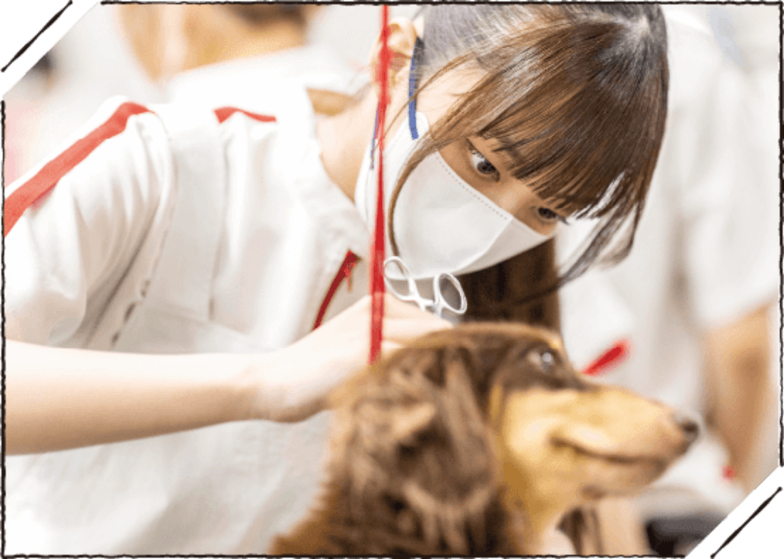 動物看護実習