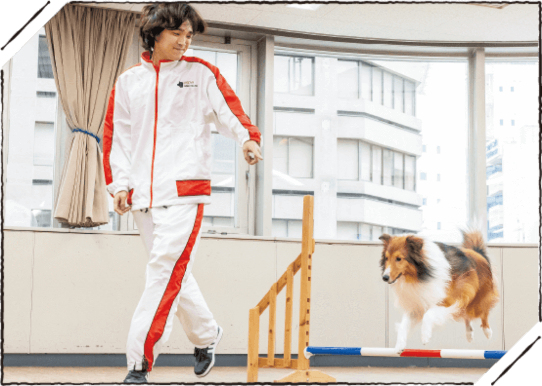 動物看護実習