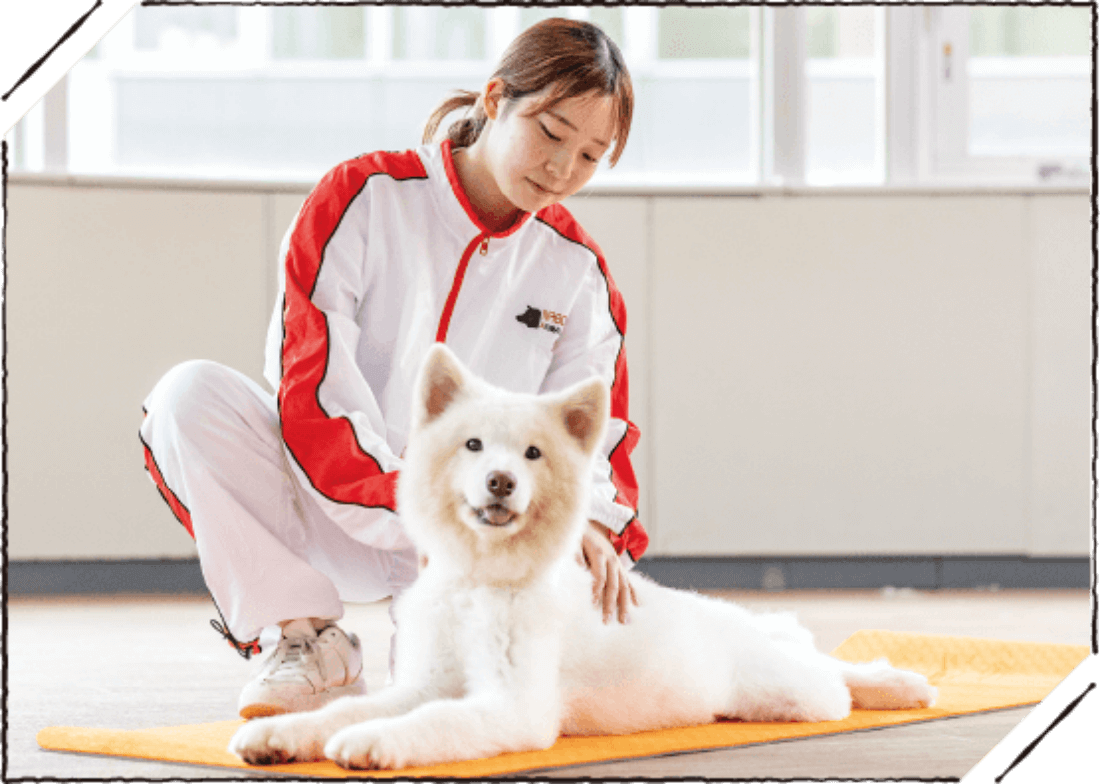 動物看護実習