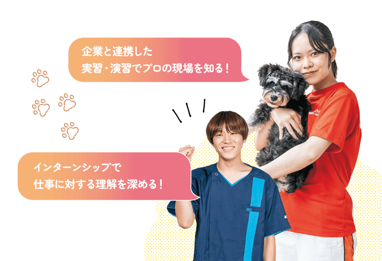 企業連携した実習・演習でプロの現場を知る!インターンシップで仕事に対する理解を深める!