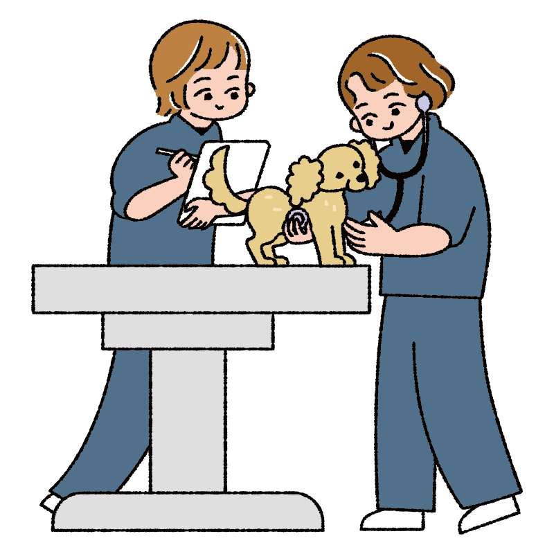 愛玩動物看護師