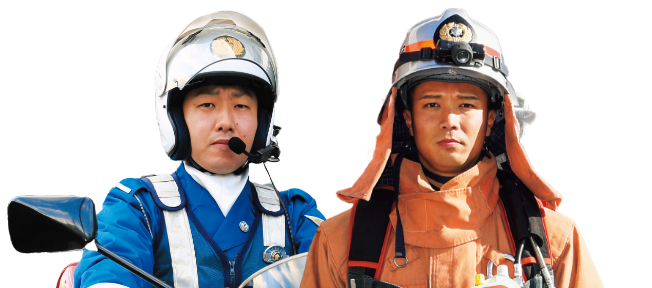 幅広い業界への就職実績があります